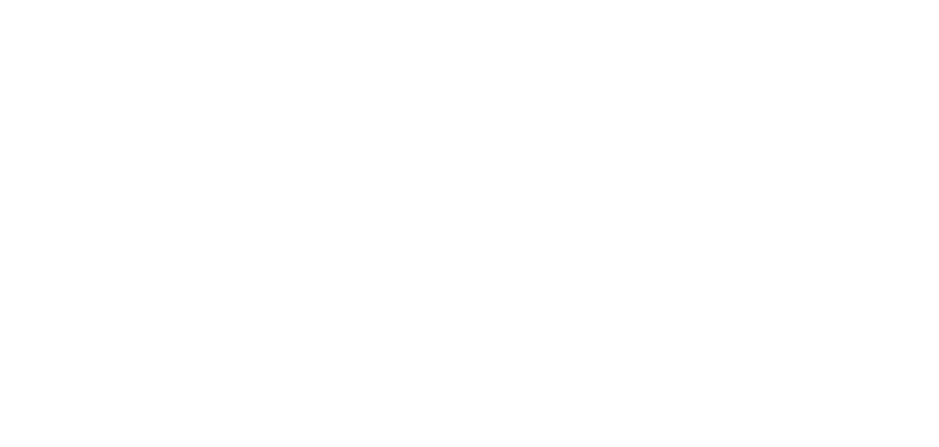 The Fentress Experience